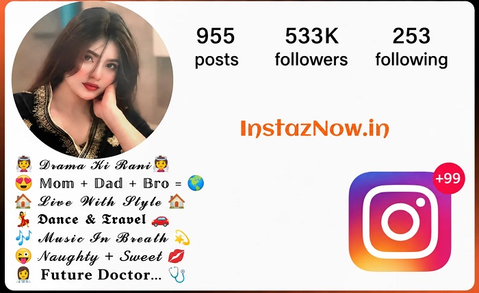 instagram bio for boys attitude stylish